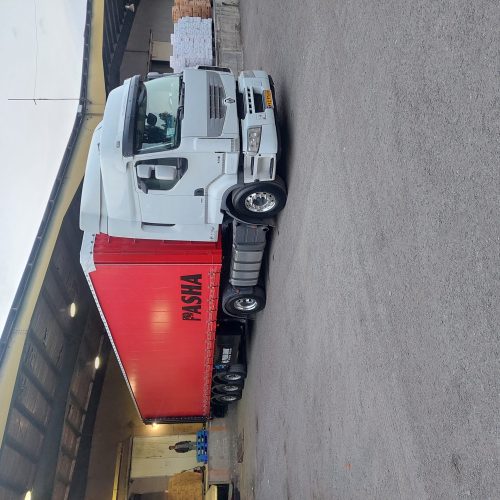 رنوپریمیوم 450وارداتی