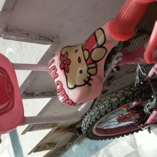 دوچرخه دخترانه سایز 20