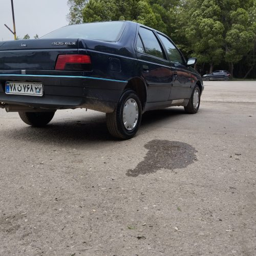 پژو405