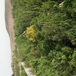 باغ چهار دیواری500 متری در قجر تخت رستم