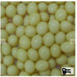 خاویار حلزون