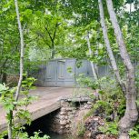 اجاره خانه های ویلایی و سوییت