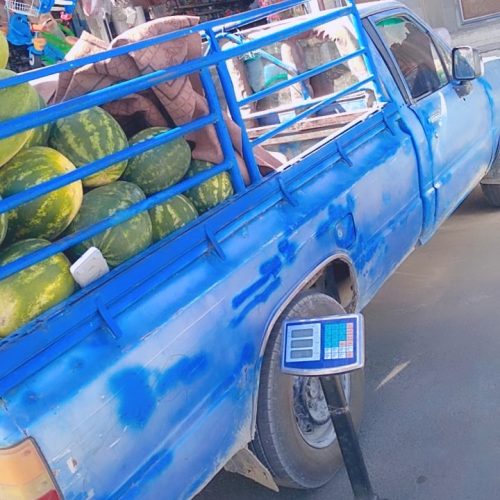 نقد