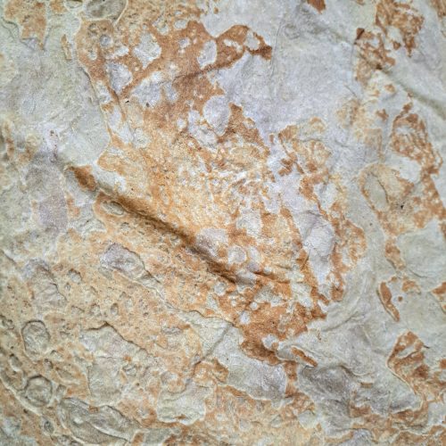 فروش نان محلی تازه