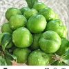 فروشنده میوه