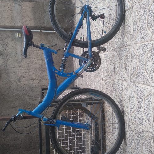 یک عدد دوچرخ دنده