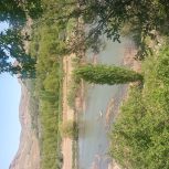 زمین‌ کشاورزی