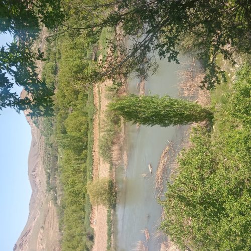 زمین‌ کشاورزی