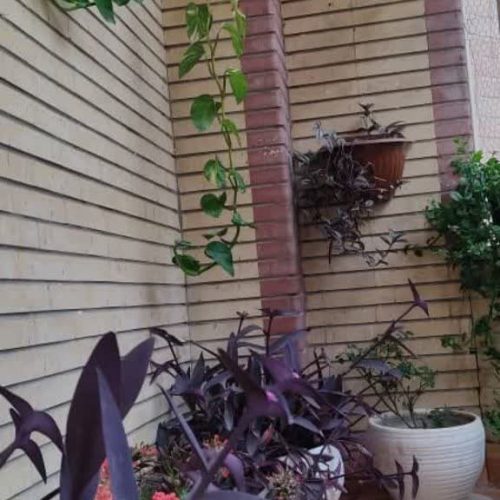 اجاره  آپارتمان یک خوابه