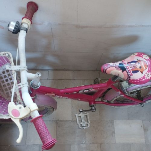 دوچرخه سالم دخترونه