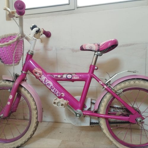 دوچرخه سالم دخترونه