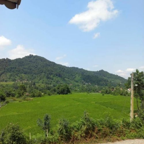 ویلا سنتی در دل جنگل در جاده قلعه رودخان