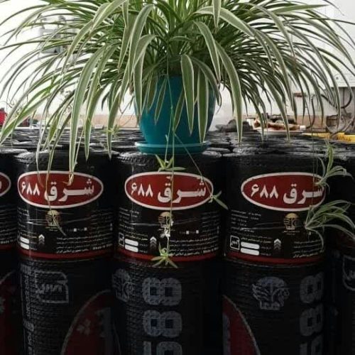 ایزوگام نظری