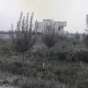 باغ ویلایی با چاه آب وبرق با انواع اقسام درختان میوه وخانه باغ کوچک