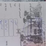 فروش سگ مالتیز نر