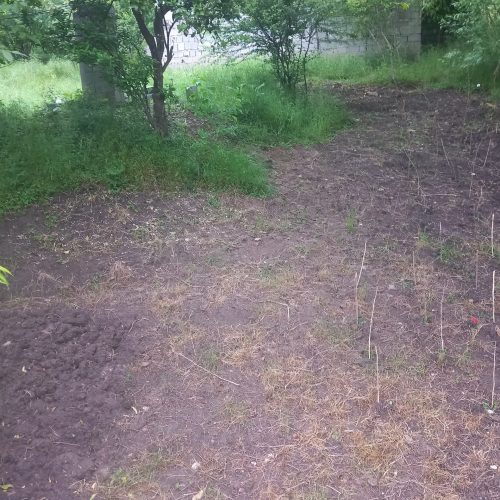 فروش زمین با چشم انداز زیبا