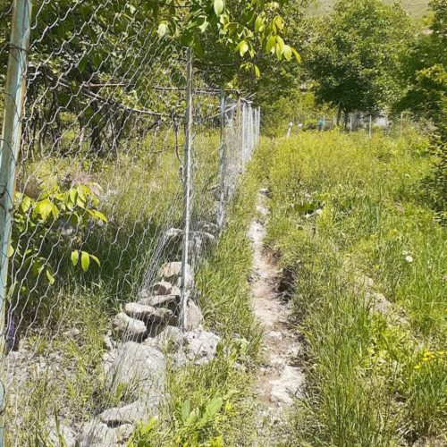 باغ به متراژ 1100 متر در شهرستان گیوی