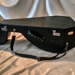 هارد کیس عود