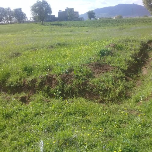 زمین مسکونی