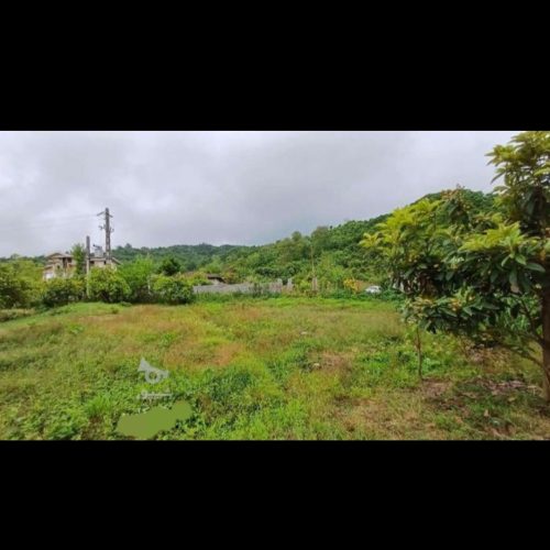 فروش فوری زمین شمال مسکونی گیلان کوهپایه موقعیت عالی قیمت استثنایی