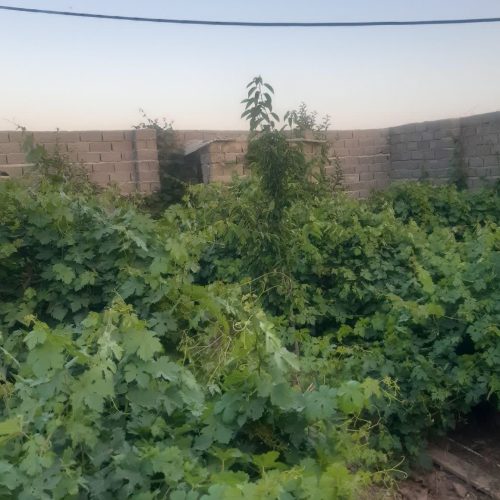 400 متر زمین