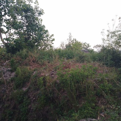 فروش زمین مسکونی