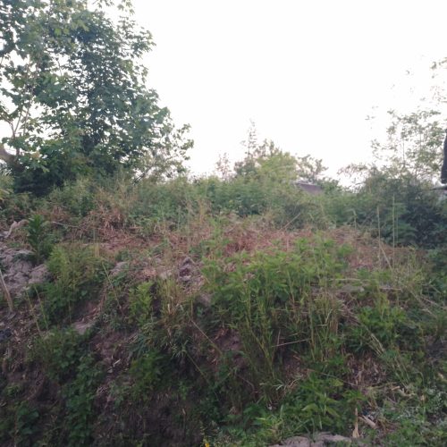 فروش زمین مسکونی