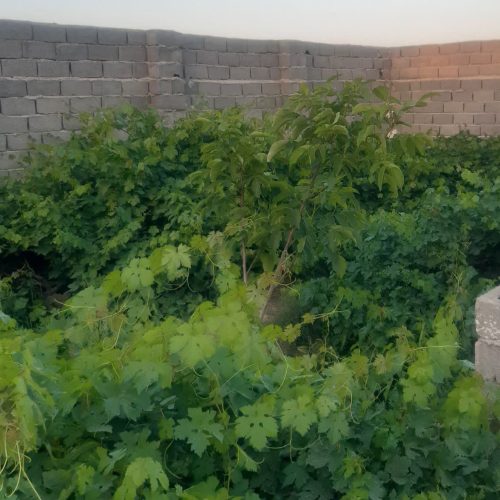 400 متر زمین
