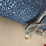 فروش عروس هلندی والد و جوجه