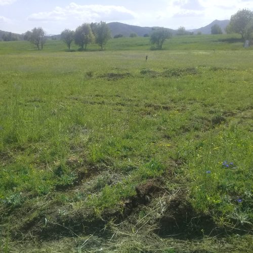 زمین مسکونی