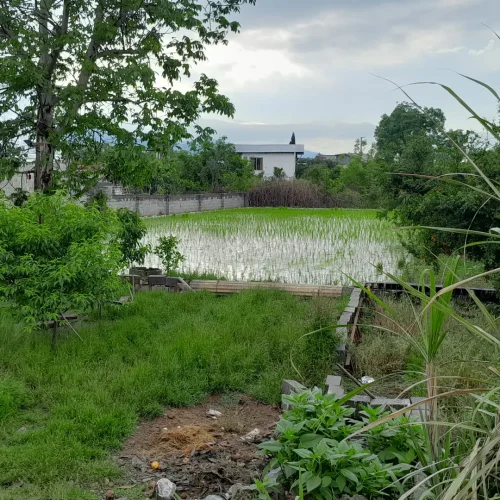 فروش خونه باغ