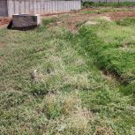 فروش باغ و باغچه 🌳