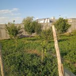 400متر زمین کشاورزی فیلستان