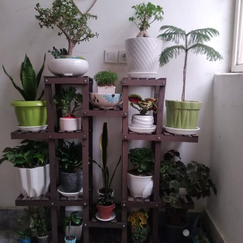 استند گل مستقیم از تولیدی