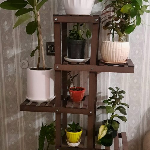 استند گل مستقیم از تولیدی