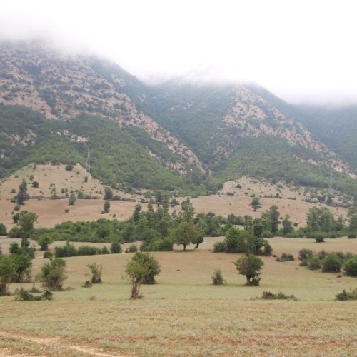 زمین در منطقه کجور عالی دره