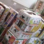 تعداد100 عددکارت موزی