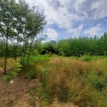 زمین مسکونی