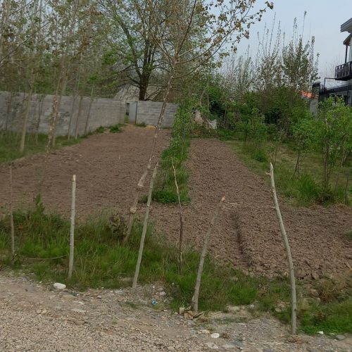 فروش 700متر زمین مسکونی