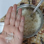 برنج هاشمی گیلان