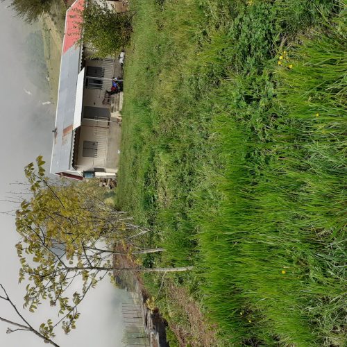 خانه ویلایی مجهز به آب،برق،گاز