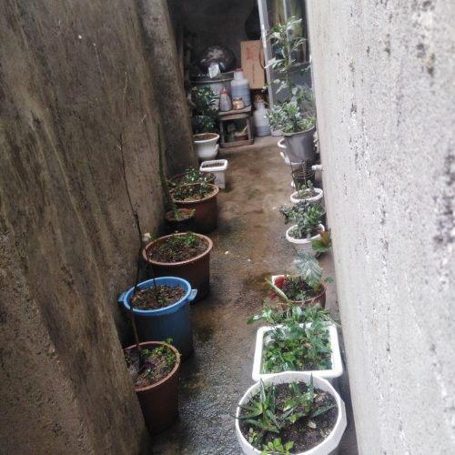 فروش خانه ویلایی در شهرک صبا رشت