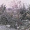 باغ ویلایی با چاه آب وبرق با انواع اقسام درختان میوه وخانه باغ کوچک