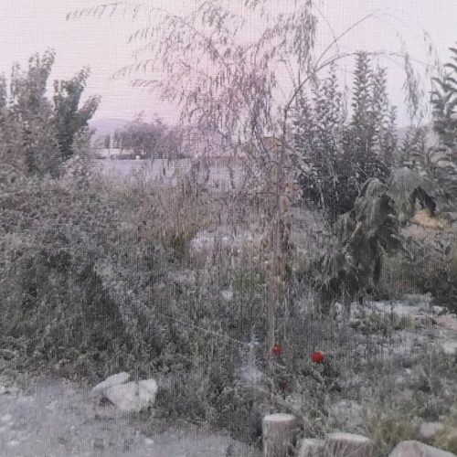 باغ ویلایی با چاه آب وبرق با انواع اقسام درختان میوه وخانه باغ کوچک