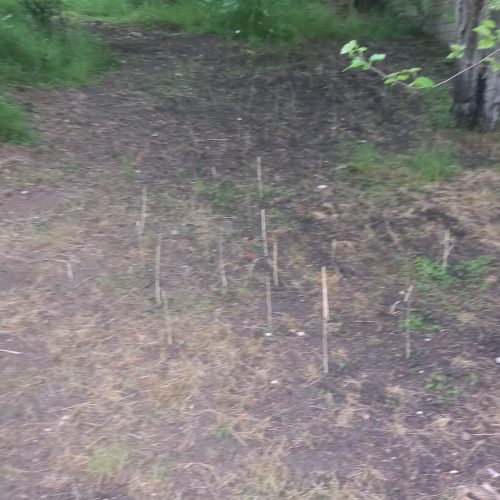 فروش زمین با چشم انداز زیبا