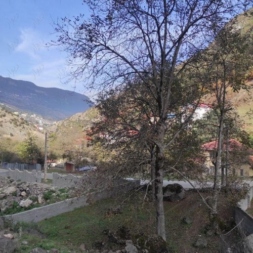 زمین مسکونی جاده دوهزار هلوکله