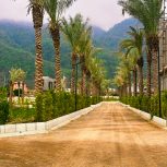 فروش زمین شهرکی جنگلی بی‌نظیر مناسب سرمایه گذاری