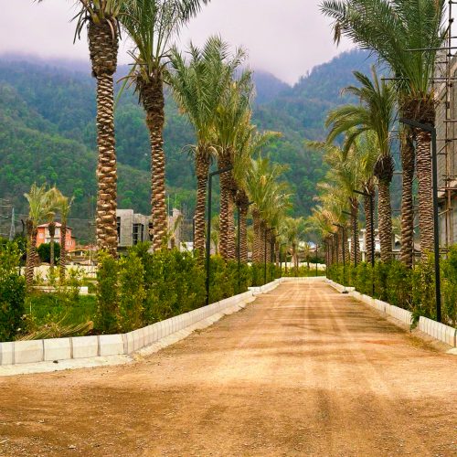 فروش زمین شهرکی جنگلی بی‌نظیر مناسب سرمایه گذاری