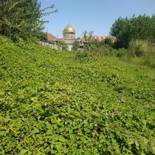 زمین مسکونی با سند تک برگ