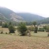 زمین در منطقه کجور عالی دره